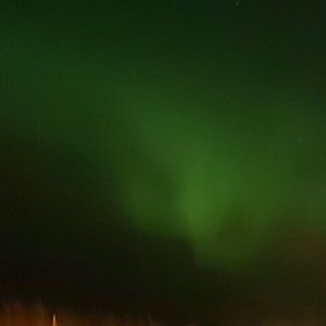 Meet your Posher, Danny